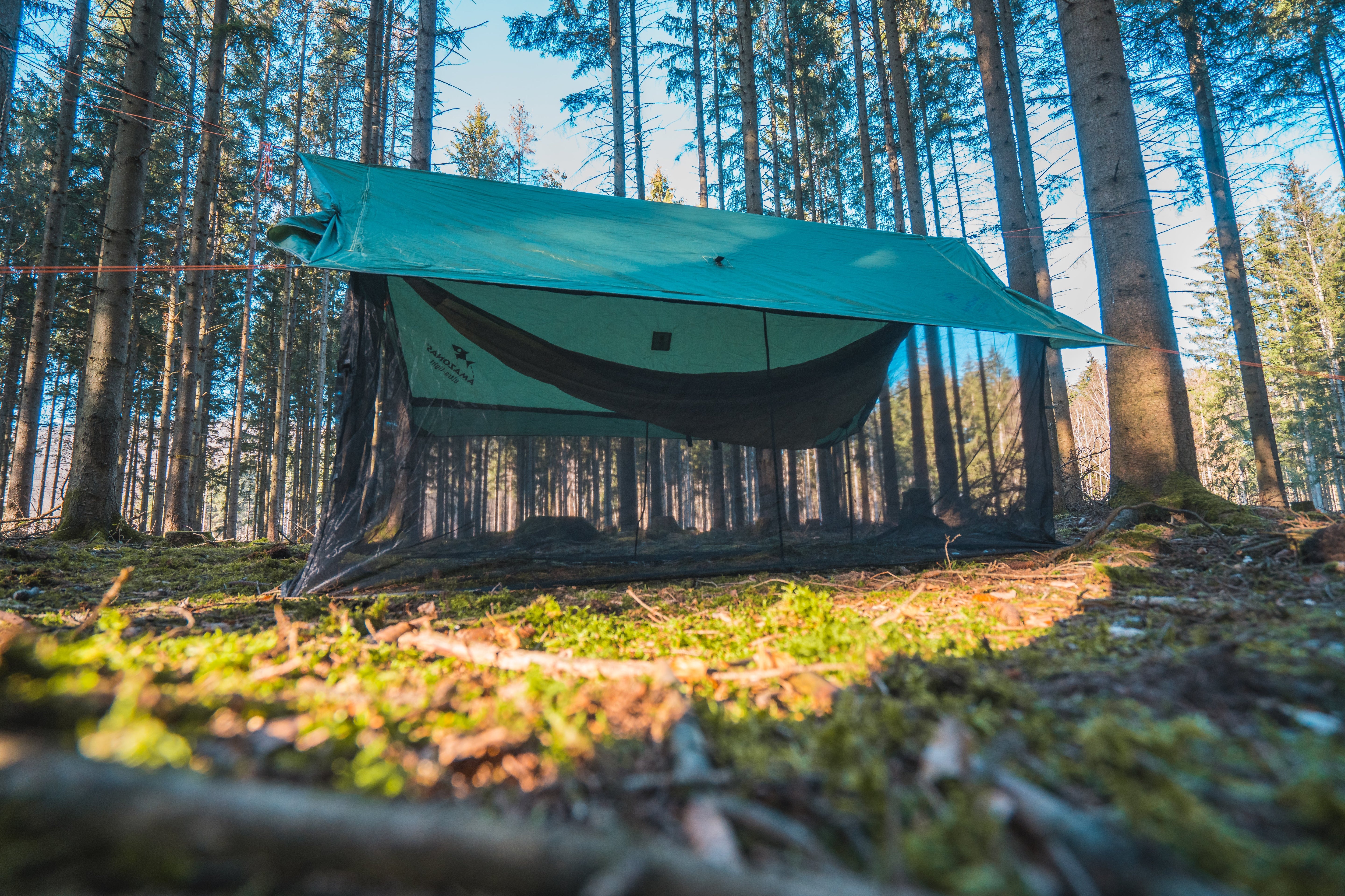 Moskito Wing Tarp