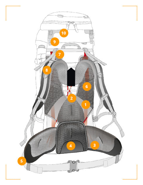 tt-website-rueckensysteme-v2-tragesystem-carrying-system.jpg