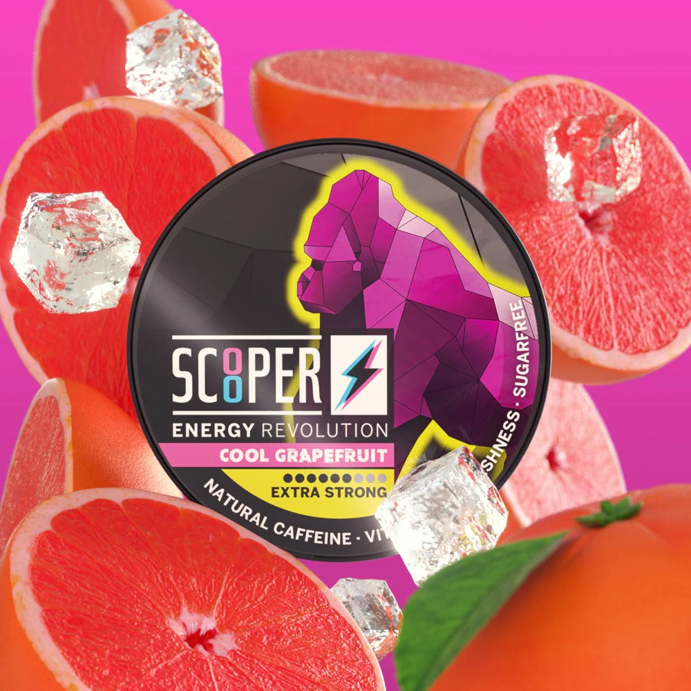 whatsapp_image_2023-11-20_at_15-58-14_1d2aca91-c6e9-415e-9a0b-3d85524910c0_1000x.png